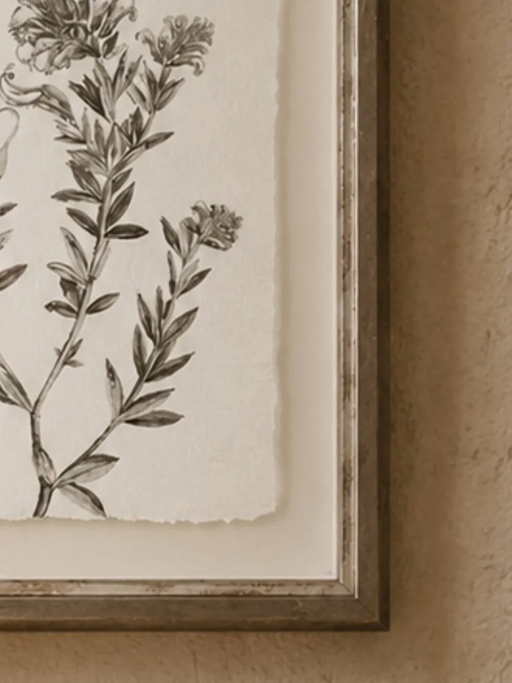 Botanical Study in Sage Floral Illustration Framed Wall Art Print
